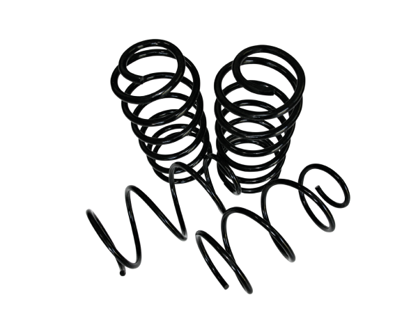 Suspension springs – Evo