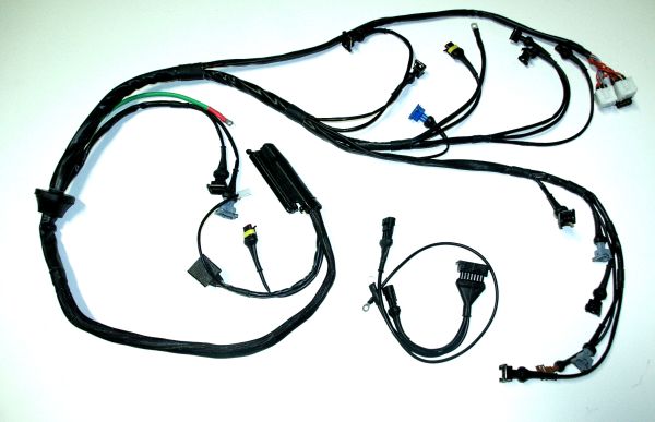 Engine wiring 16V (no Cat)